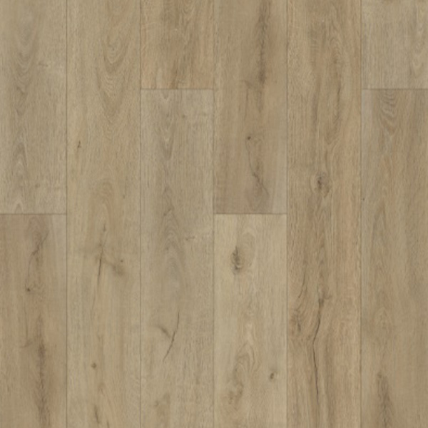 LVP flooring RigidLock Plus - Trenton In Stock at Matt The Carpet Guy