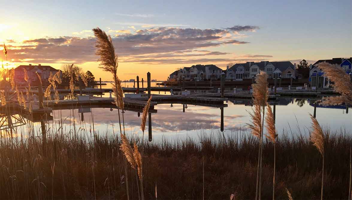 Ocean Pines Yacht Club | Carpet and COREtec flooring